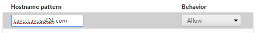 BS_Chrome_Exception.png