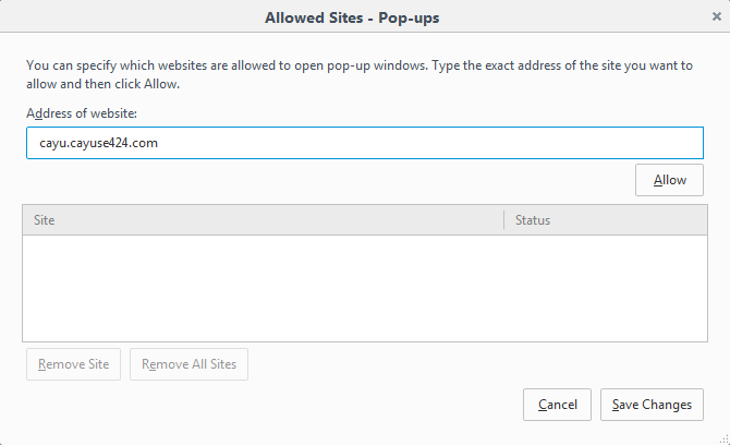BS_allowed_popups.png
