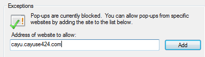 BS_Pop_Up_Exceptions_IE.png