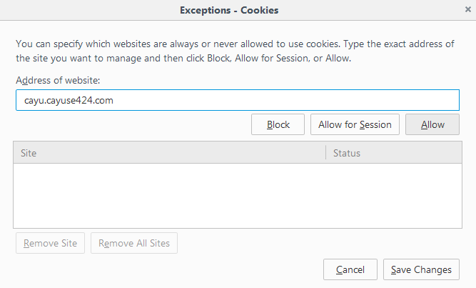 BS_FF_cookie_exceptions.png
