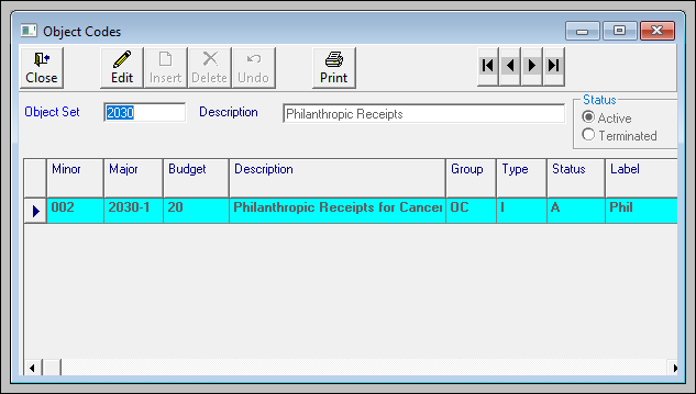 Accounting_Object_Codes_screen.png
