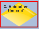 A picture containing chart

Description automatically generated